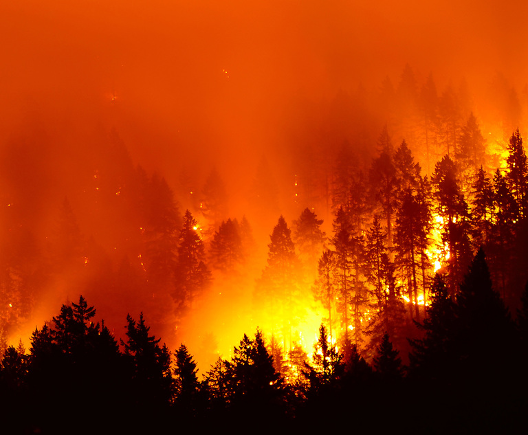 US Forest Services Properly Consulted With Landowners Amid Monthslong Blaze Says 9th Circuit