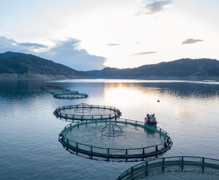 Supermarket Giants Launch 675M Competition Claim Against Fish Farmers