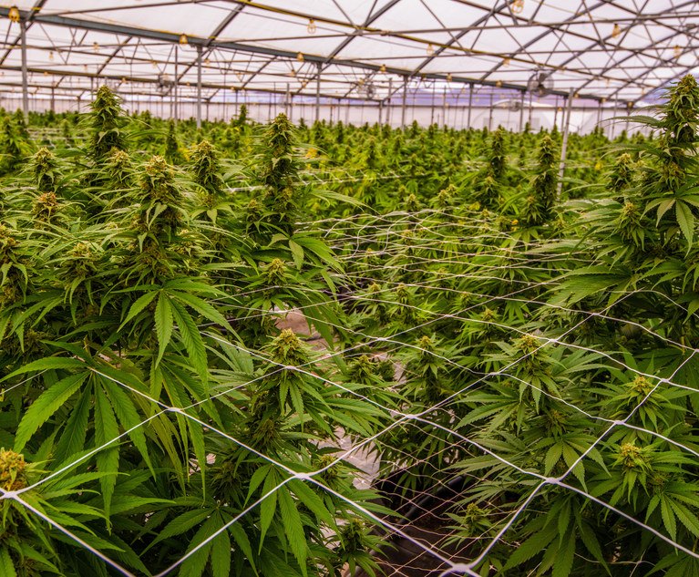 NY Cannabis Lawyers Say Regulated Industry Building Momentum But Concerns Persist