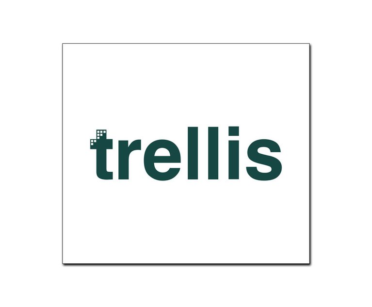 Trellis Announces 15 Million Investment With Plans to Launch Generative AI Offerings