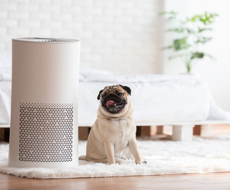 Consumer Class Action Alleges Makers of Air Purifiers Misrepresented Products' Capabilities