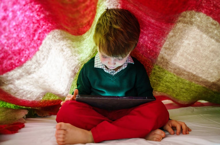 In Blow to Social Media Companies, Court Restores Ohio Law Limiting Use by Children