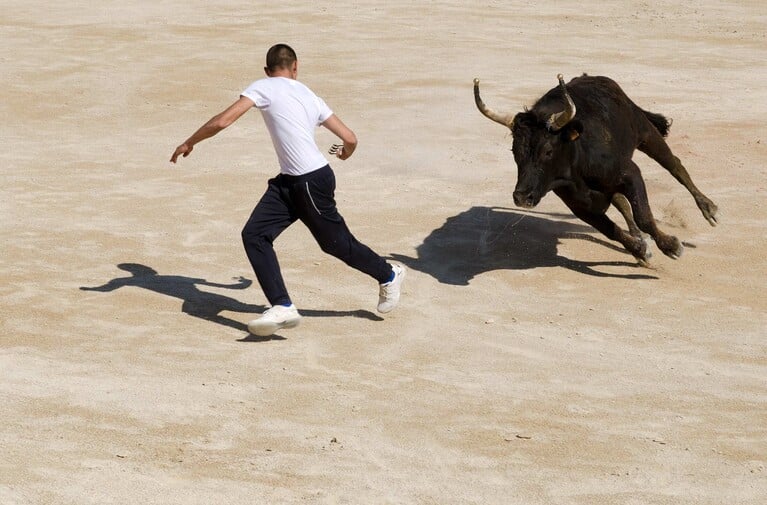 If There's a Loose Bull in Georgia, Who's Responsible for the Damages? Fulton County Judge to Decide