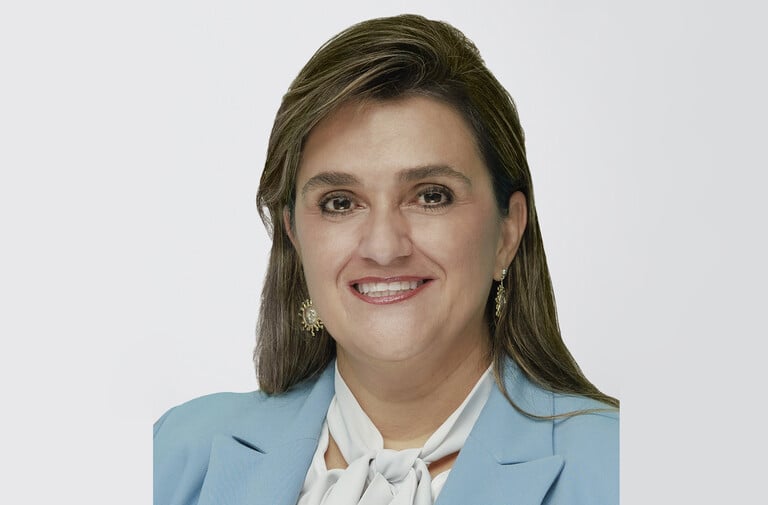 Holland & Knight Makes Former Mexican Supreme Court Justice Partner