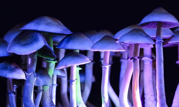 Psychedelic drug therapy: Alternative mental health benefits that some employers offer
