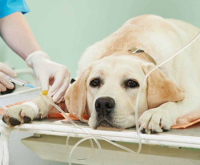 Is pet insurance worth the cost for employees? 2023's most expensive paid claims for dogs