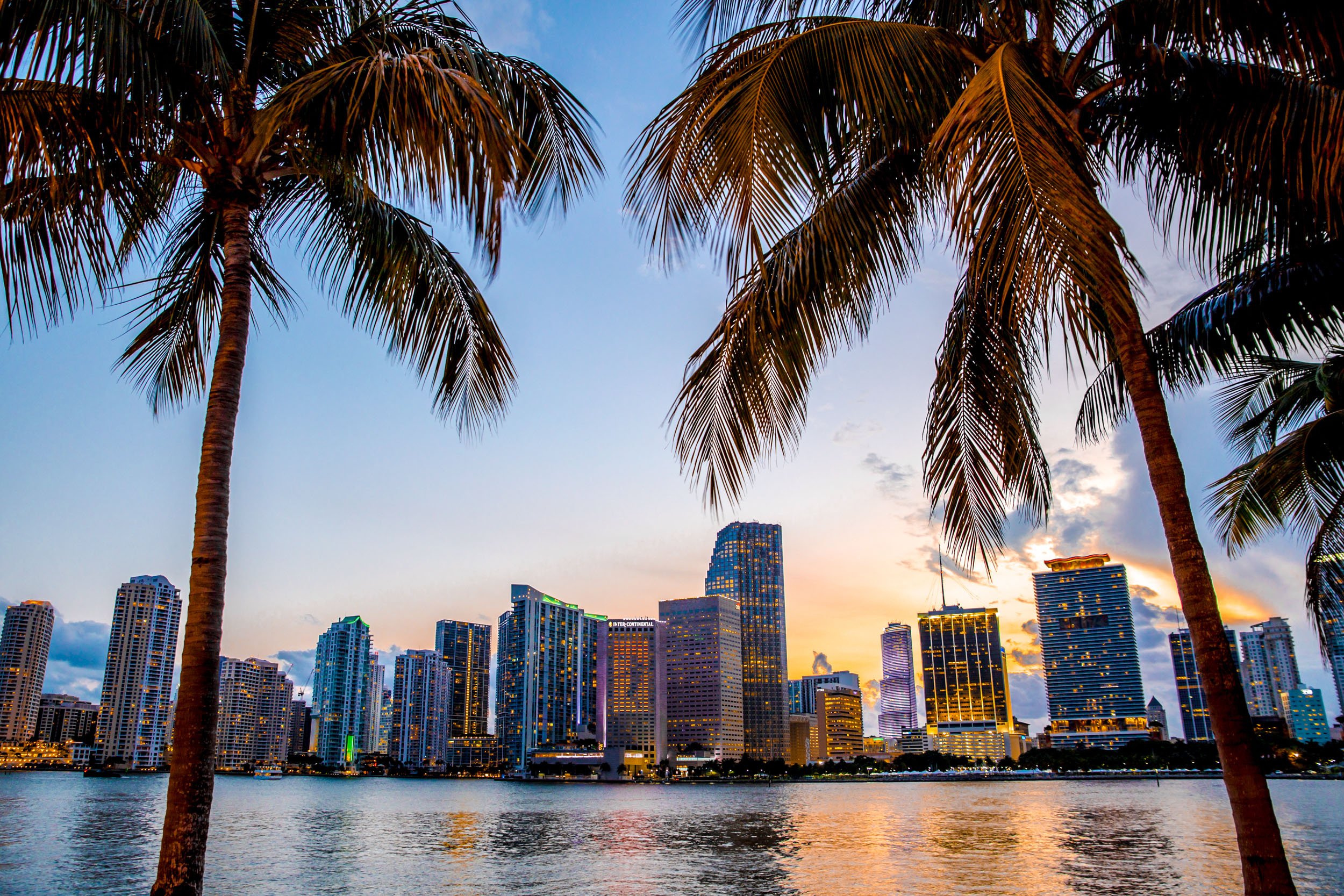 Elle Plans Branded Condo Tower in Miami