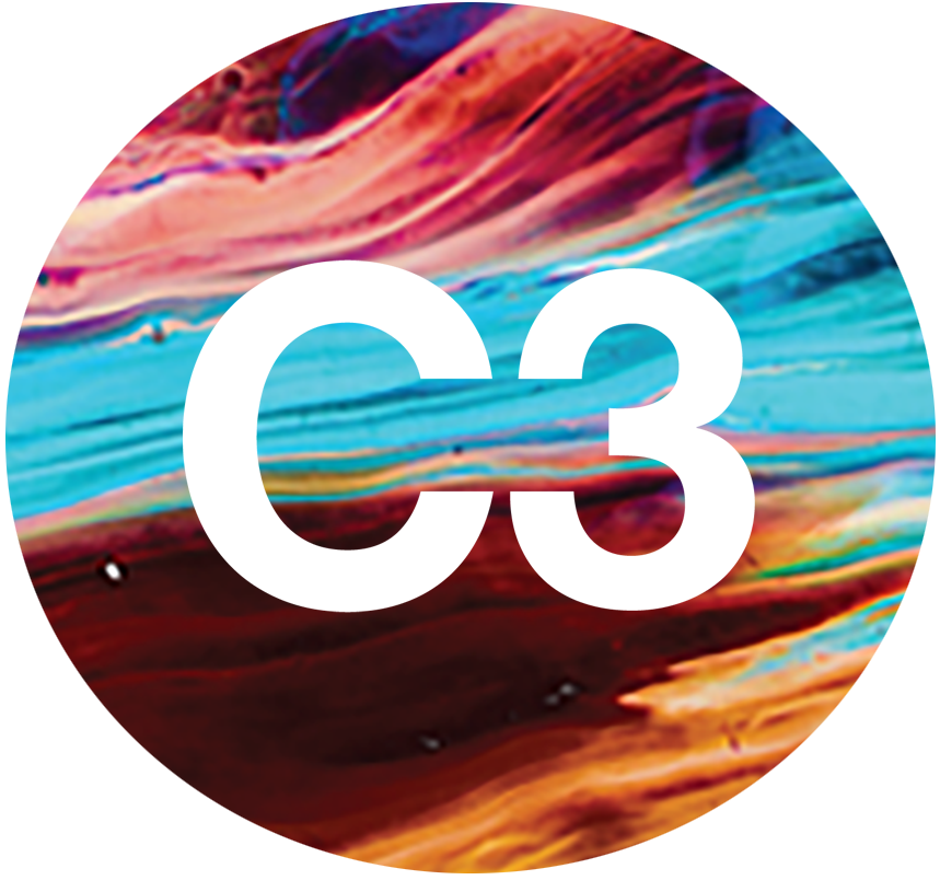 C3 Risk Logo
