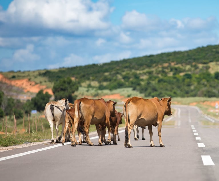 Q&A: When cows escape and cause an accident, what coverages exist?
