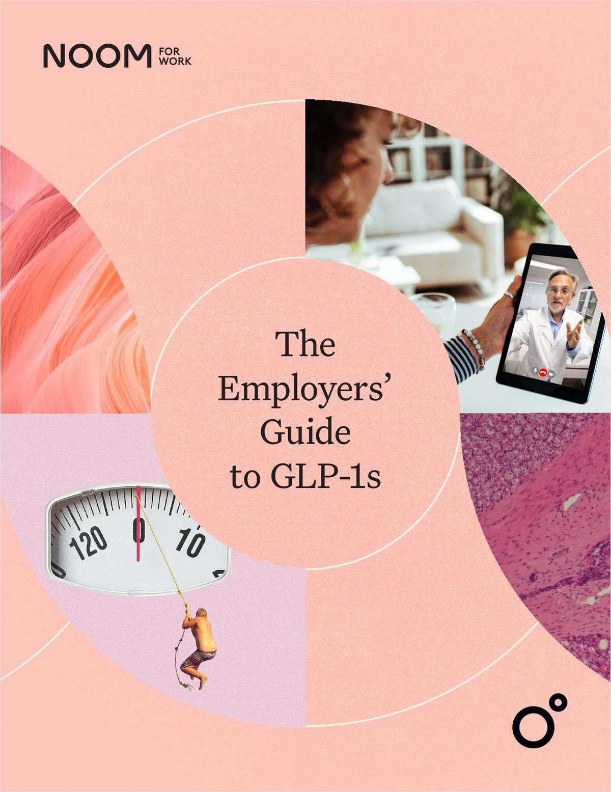 Client Tool: The Employers' Guide to GLP-1s link