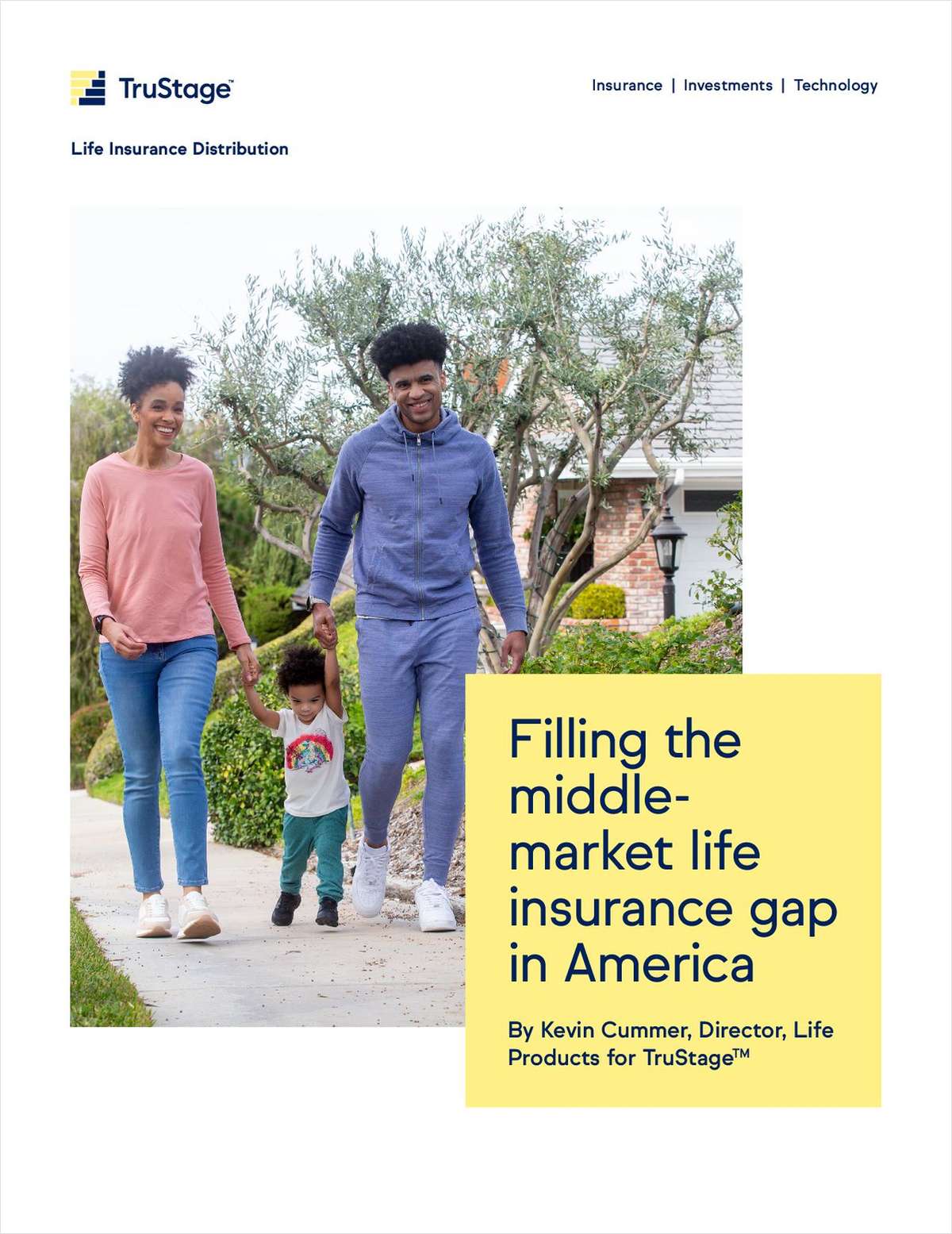 Filling the Middle-Market Life Insurance Gap in America link