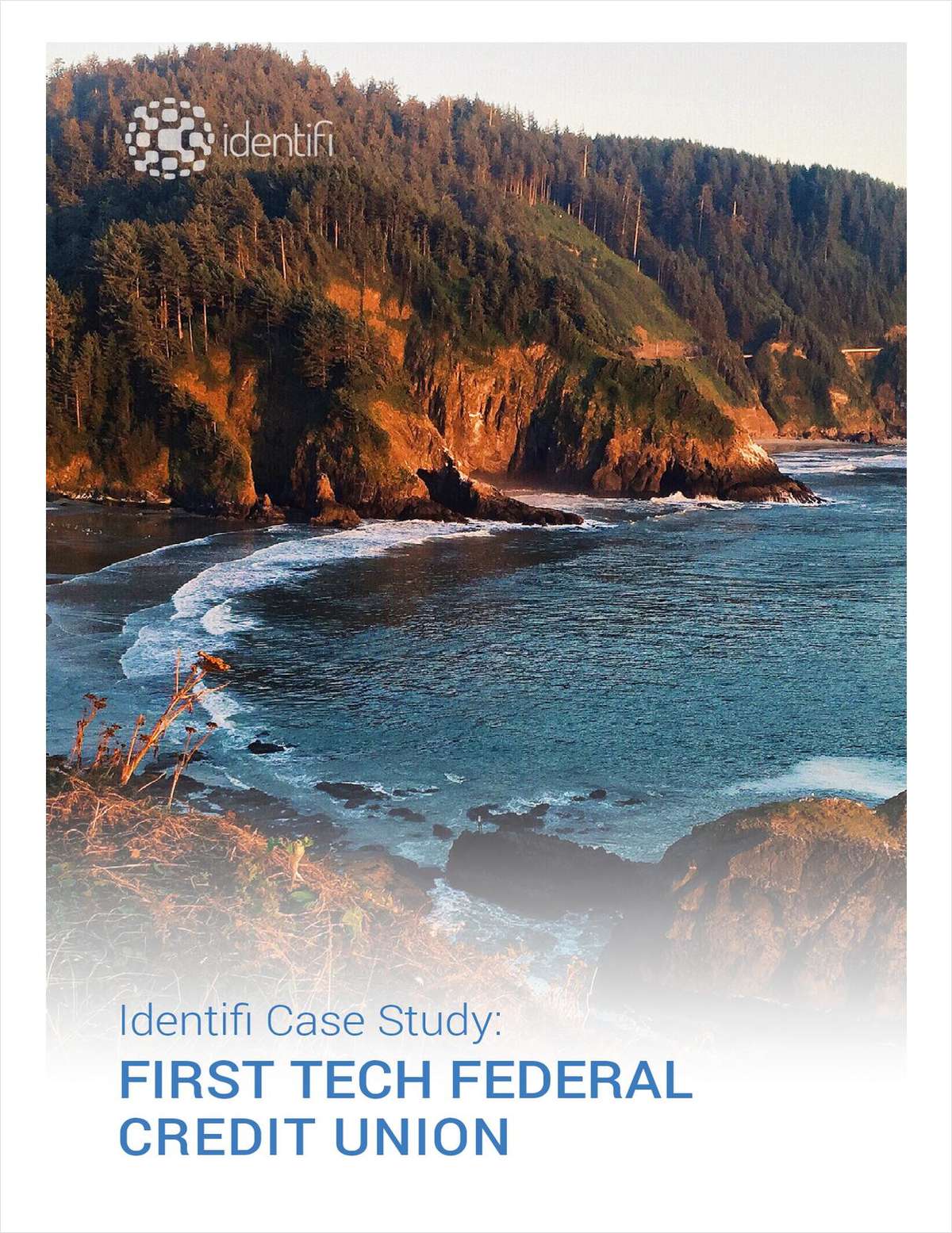 First Tech Federal Credit Union: A Distinctly Different Financial Institution link