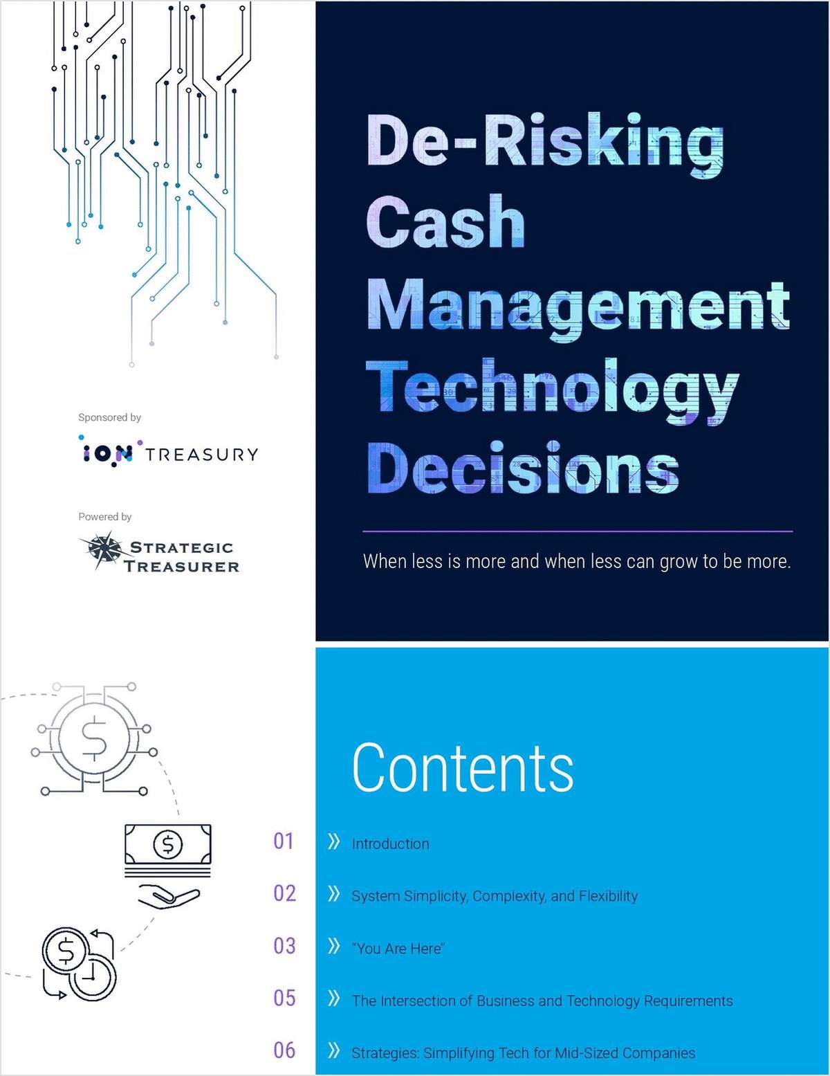 De-Risking Cash Management Technology Decisions: When Less Is More and When Less Can Grow To Be More link