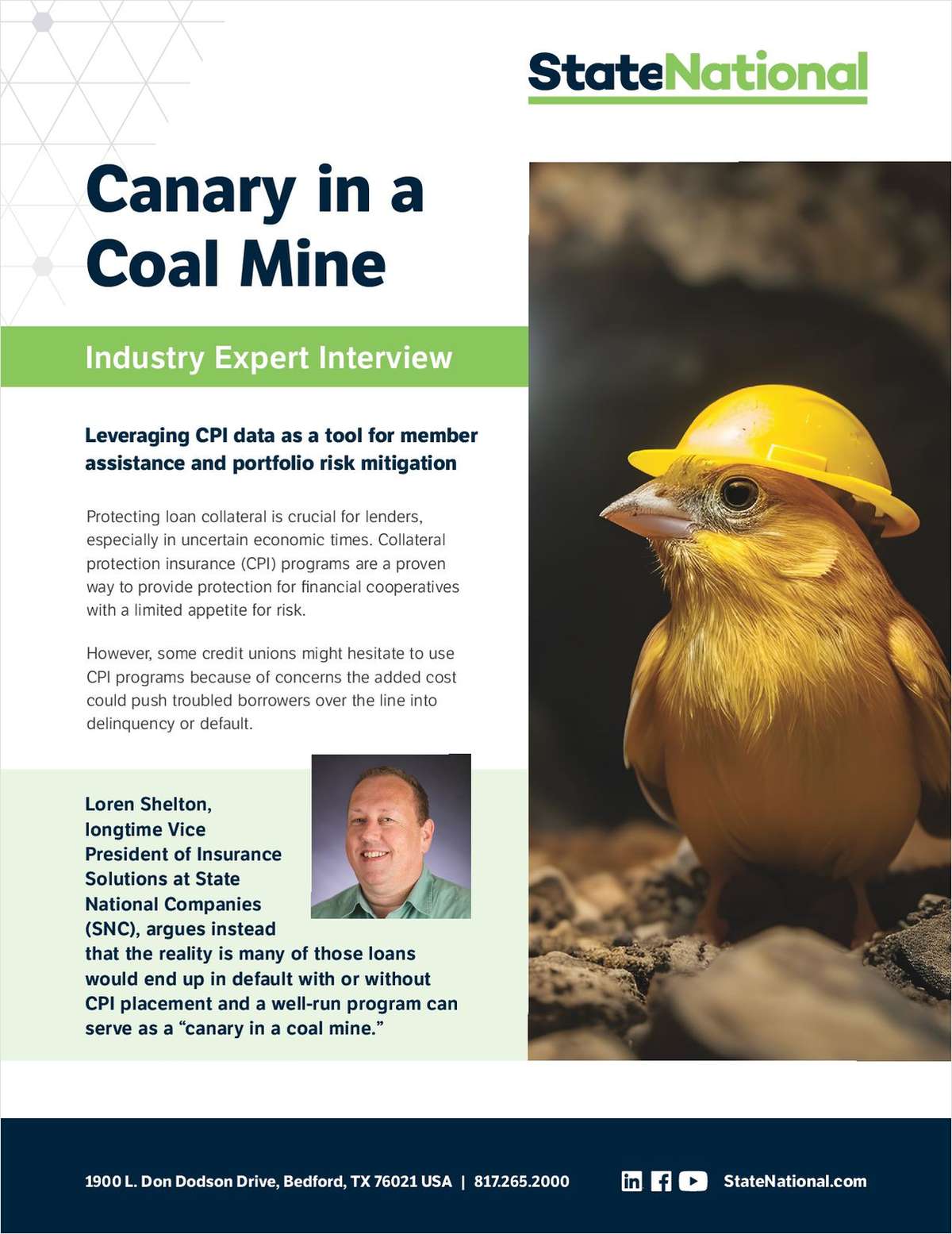 Canary in a Coal Mine: Industry Expert Interview link