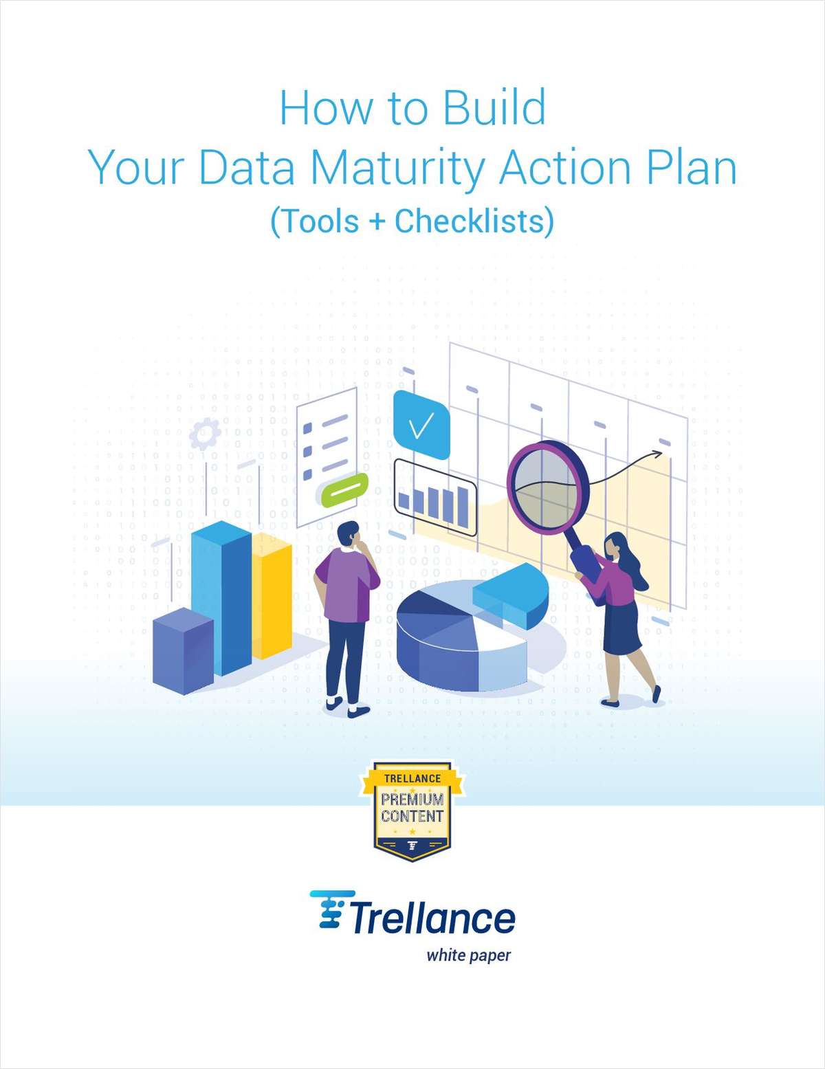 How to Build Your Data Maturity Action Plan (Tools + Checklists) link