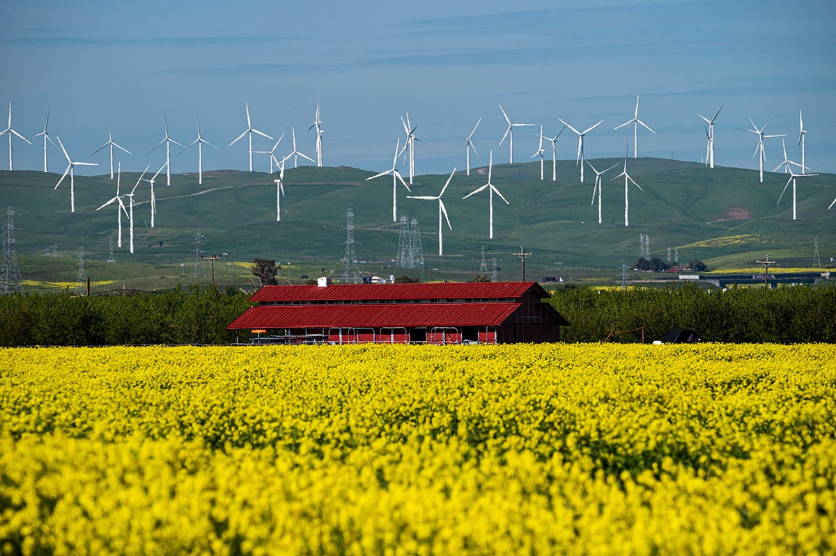 Green Bonds Are Becoming Less Appealing for U.S. Issuers