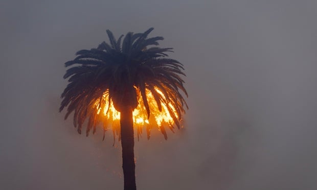 PHOTOS: Powerful winds intensify fast-moving Los Angeles wildfires