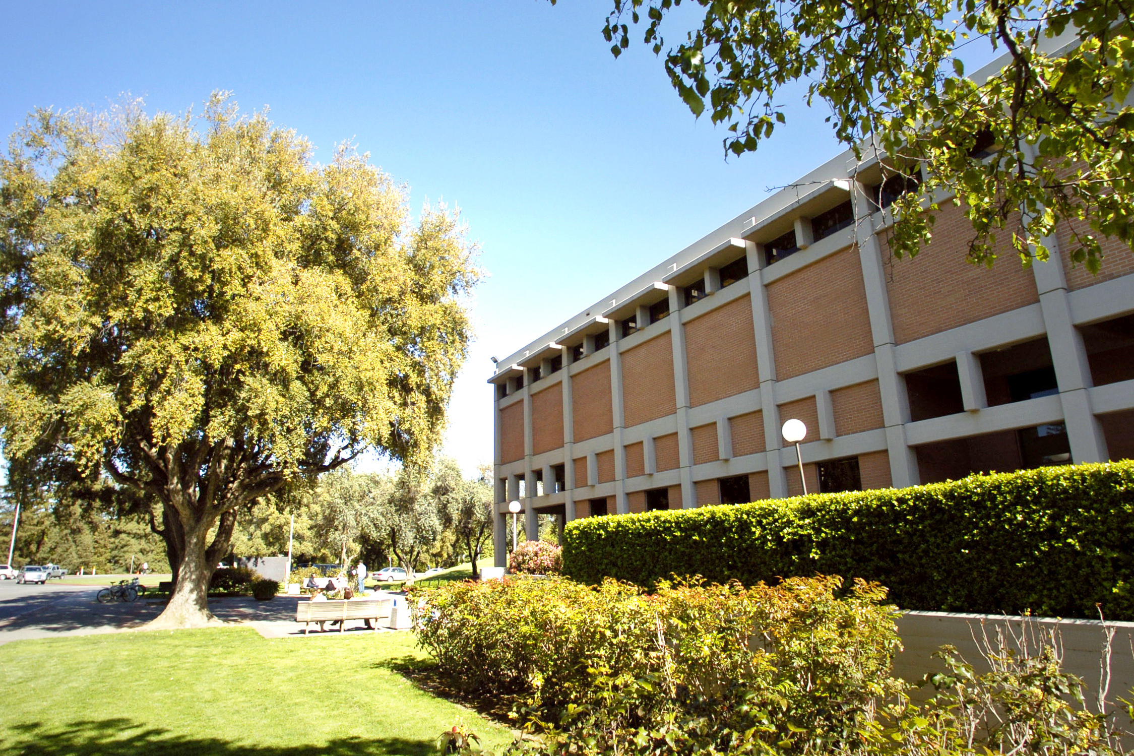 Enrollment Is Up Way Up At These Law Schools Law