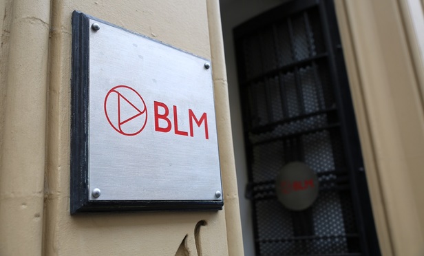 BLM Launches New Business Consultancy Arm