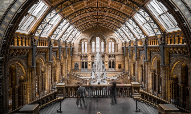 London's Natural History Museum Legal Head on Delayed Exhibitions and Reopening Challenges