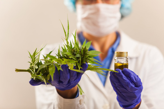 Middle East Firm Launches Region's First Dedicated Medical Cannabis Practice