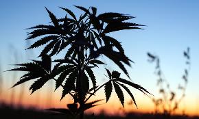UK Duo Advise on Snoop Dogg Backed Cannabis Pharma London IPO