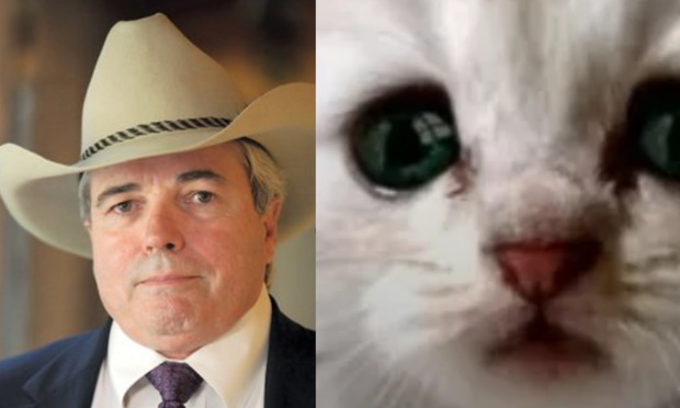 Meet the 'Cattorney': The Lawyer Behind the Viral Video On His Now Famous Blooper