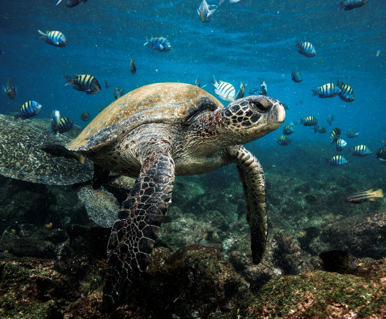 Dentons Leads Ecuador Debt for Nature Swap Aimed at Marine Conservation Near Galapagos