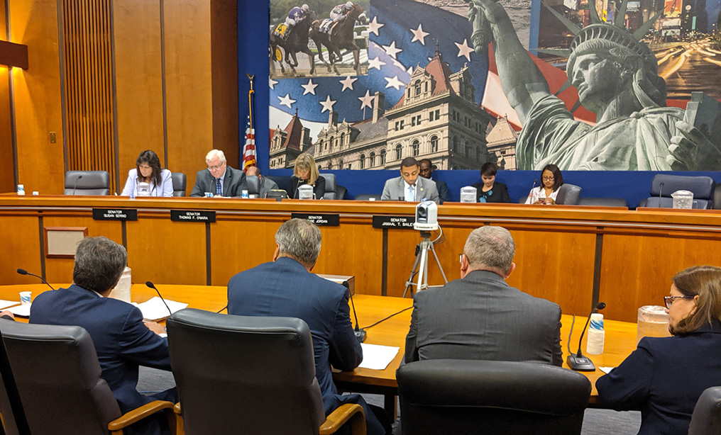 State lawmakers hear testimony in Albany on implementation of the new criminal discovery laws on Monday, Oct. 28. Photo: Dan M. Clark/NYLJ