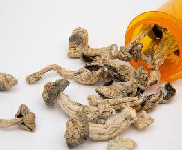 Law Firms See Promise in Psychedelic Based Medicine as It Moves to the Market
