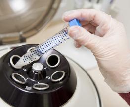Negligence Claim Over Embryo Storage Should Face Jury: NY Appeals Court