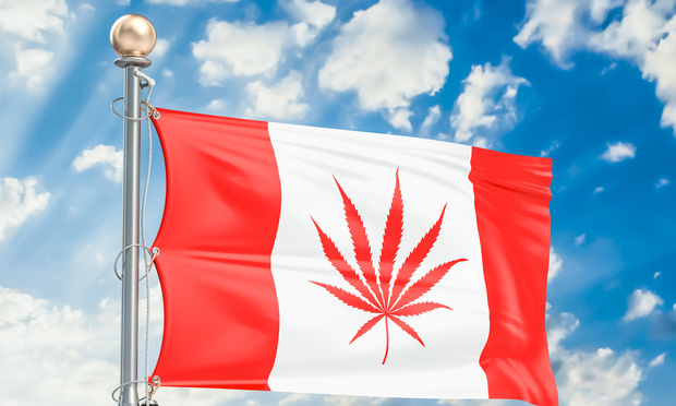 Canadian Cannabis Grower Wayland Group Hires Its First GC
