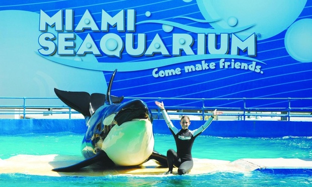 PETA Miami Seaquarium Argue Lolita's Fate Before 11th Circuit
