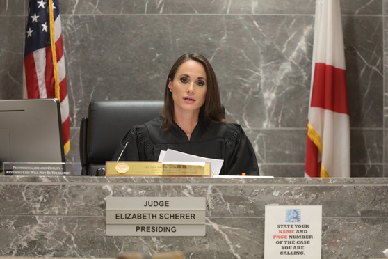 Focus on Parkland Judge's Appearance Not Jurisprudence Seen as 'Disheartening' Women's Law Group Says