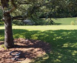 Florida Plaintiff Sues Airbnb Hosts Over Alleged Tree Swing Injury