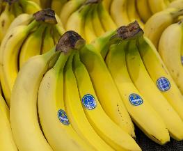 Chiquita Banana Company Must Face Florida Civil Rights Suit Eleventh Circuit Rules