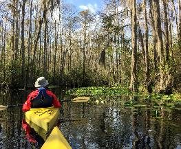 Amid South Georgia Legal Battle Proposed Law Aims to Protect Okefenokee From Future Mining