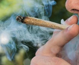 DSBA to Hold Marijuana Science CLE