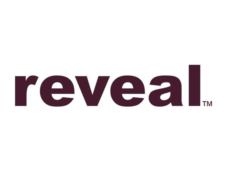 Reveal Acquires Technically Creative Building Out Its Data Connection Capabilities