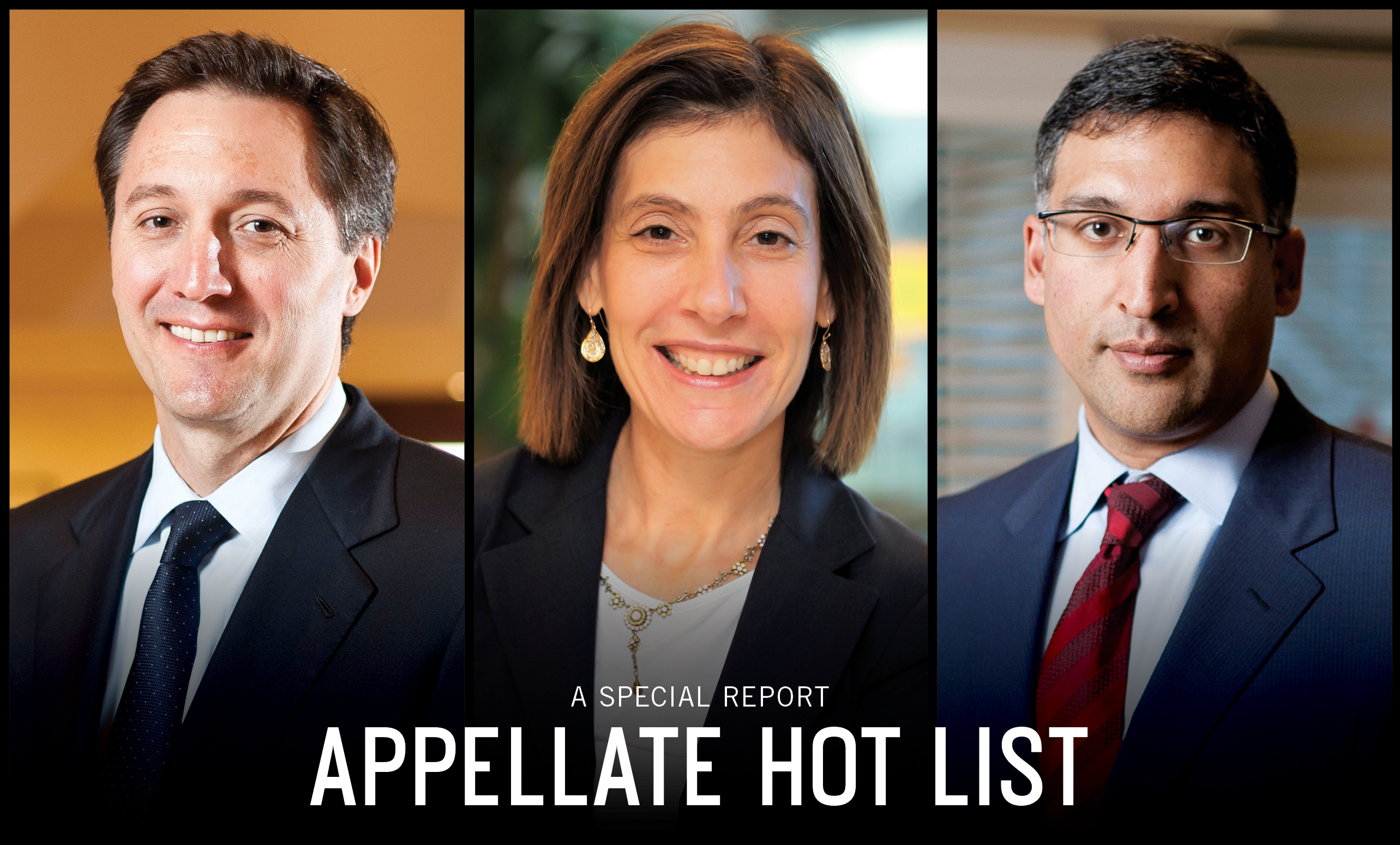 The 2017 Appellate Hot List