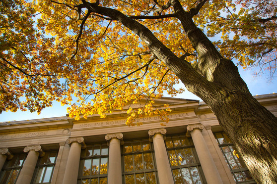 Breyer Looks Back on Sexism Faced by Female Harvard Classmates