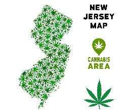 Cannabis Company Denied License Challenges New Jersey's Scoring Decisions