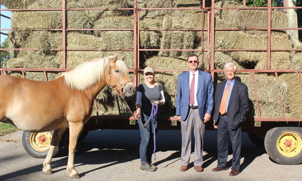 Gebhardt & Kiefer Celebrates 135th Anniversary by Donating 135 Bales of Hay to Therapeutic Riding Center