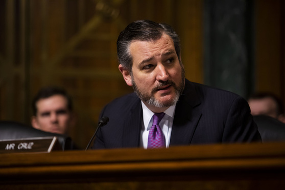 Why Did Texas Sen Ted Cruz Criticize Judge Sonia Sotomayor During Senate Hearing on Universal Injunctions 