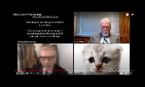 Meow A Lawyer's Mishap on Zoom Is Going Viral