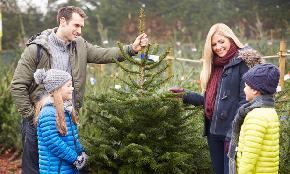 Personal Liability Insurance Risks to Avoid This Christmas Season