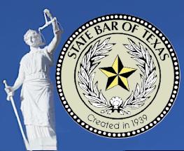 Lies to a Court Incompetence: 12 Texas Lawyers Disciplined
