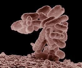 This Pa Firm Won 3M Award For Woman Who Died From Flesh Eating Bacteria