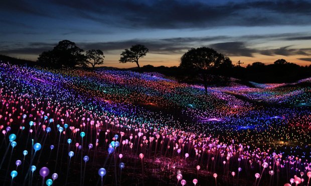 Artist Behind Paso Robles 'Field of Light' Brings Knockoff Claims Against Florida Botanic Garden