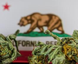 Interstate Cannabis Sales Would Pose 'Significant Legal Risk ' California AG Says